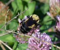 View photo in a new window