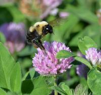 View photo in a new window