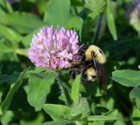 View photo in a new window