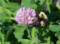 View photo in a new window