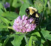 View photo in a new window