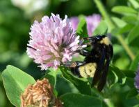 View photo in a new window