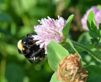 View photo in a new window