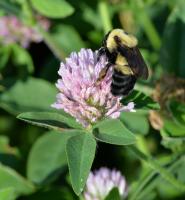 View photo in a new window