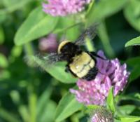 View photo in a new window