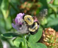 View photo in a new window