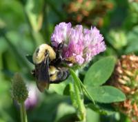 View photo in a new window