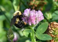 View photo in a new window