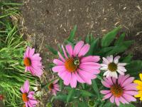 View photo in a new window