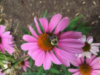 View photo in a new window