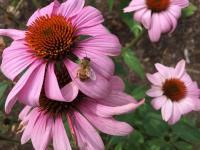 View photo in a new window