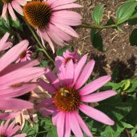 View photo in a new window