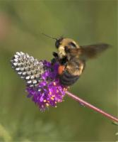 View photo in a new window