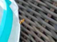 View photo in a new window