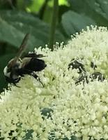 View photo in a new window