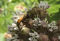 View photo in a new window