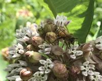 View photo in a new window