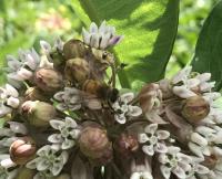 View photo in a new window