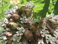 View photo in a new window