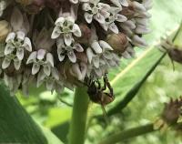 View photo in a new window