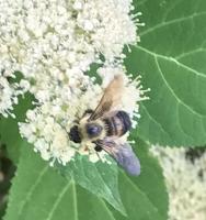 View photo in a new window