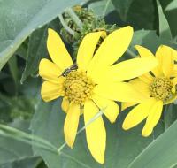 View photo in a new window