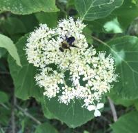 View photo in a new window