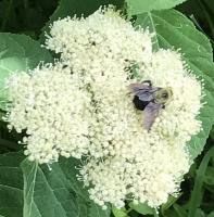 View photo in a new window