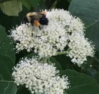 View photo in a new window