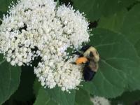 View photo in a new window