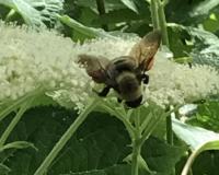 View photo in a new window