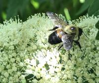 View photo in a new window