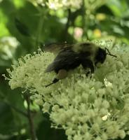 View photo in a new window