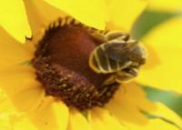 View photo in a new window