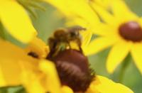 View photo in a new window