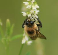 View photo in a new window