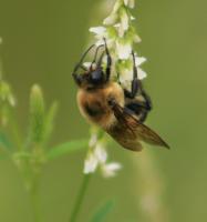 View photo in a new window