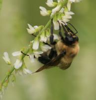 View photo in a new window