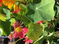 View photo in a new window