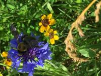 View photo in a new window