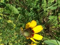 View photo in a new window