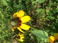 View photo in a new window