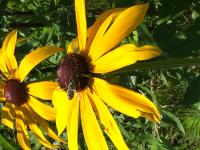 View photo in a new window