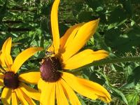 View photo in a new window