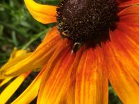 View photo in a new window