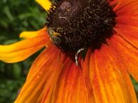 View photo in a new window