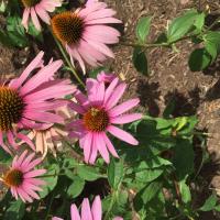 View photo in a new window