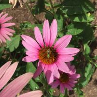 View photo in a new window