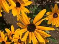 View photo in a new window