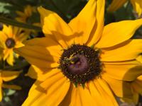 View photo in a new window